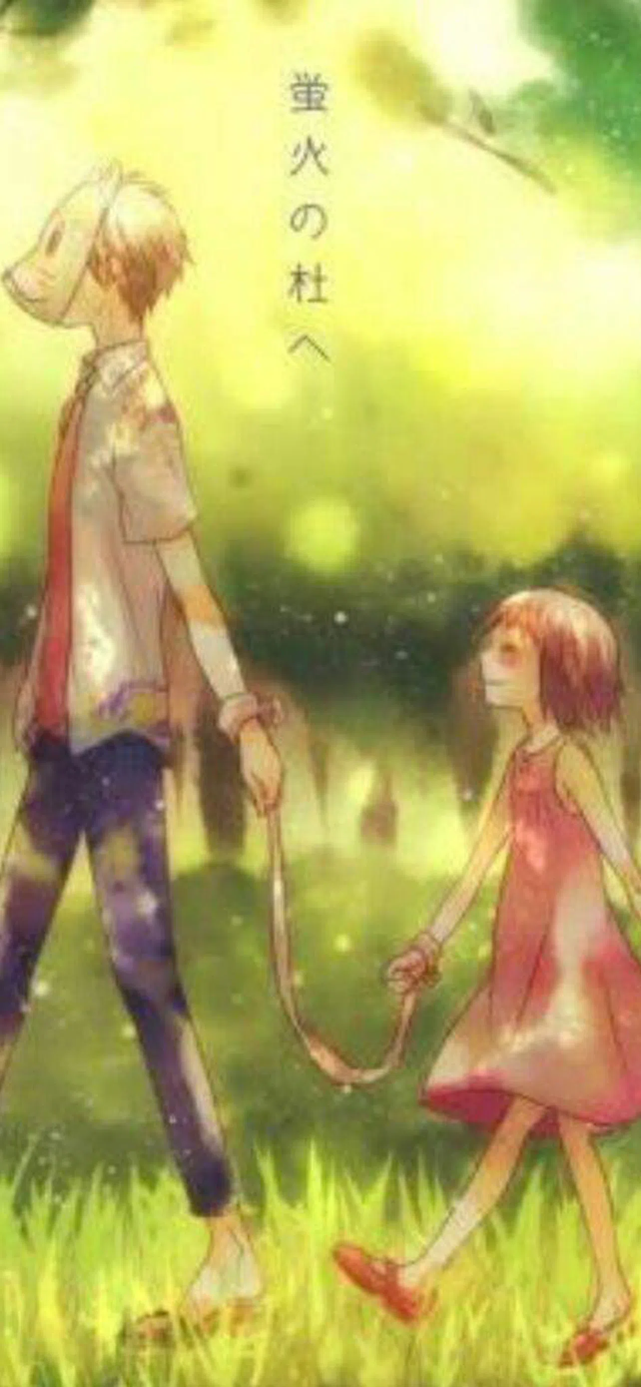 To the Forest of Firefly Lights